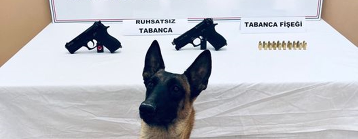 ARŞİV’İN “HEPSİNİ BEN BULDUM” POZU!