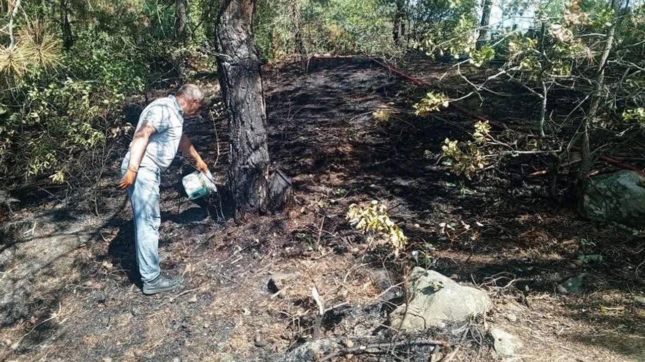 İskilip İlçesi’ndeki orman yangını söndürüldü