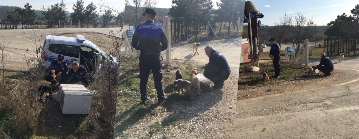 ZABITA, SOKAK HAYVANLARINI BESLEDİ