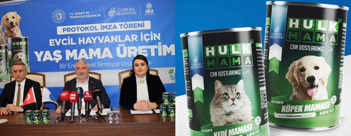 BELEDİYE, HAYVANLAR İÇİN YAŞ MAMA ÜRETECEK