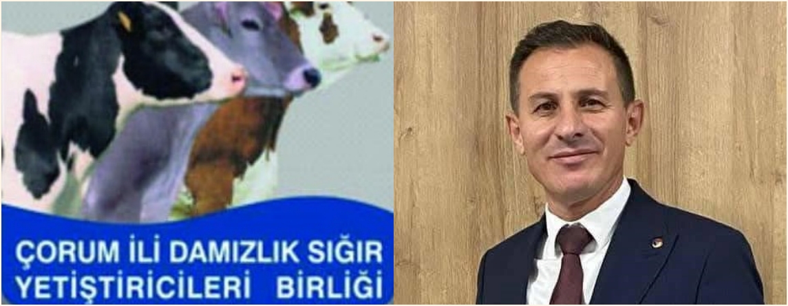 YILMAZ KAYA FARKLI KAZANDI