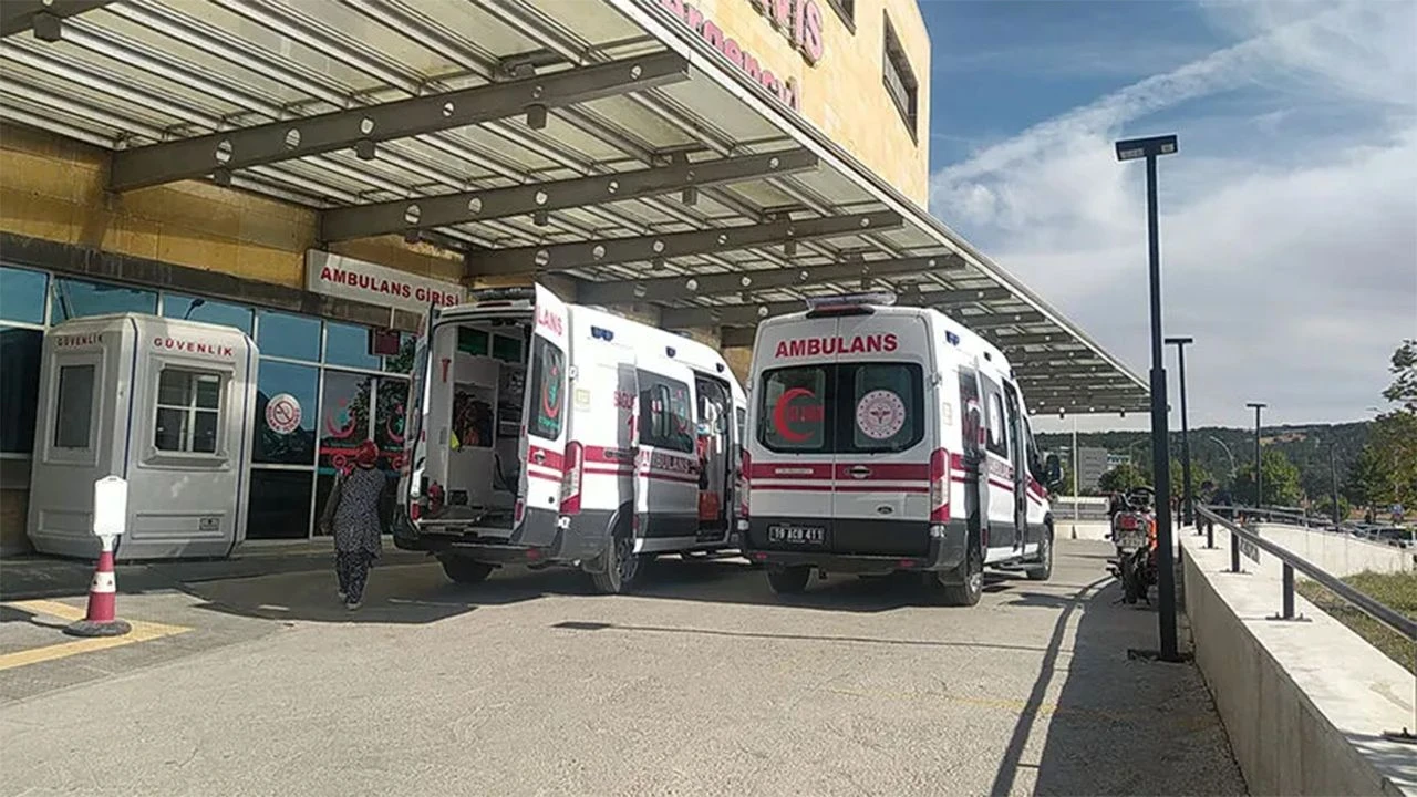 Başıboş köpekler saldırdı