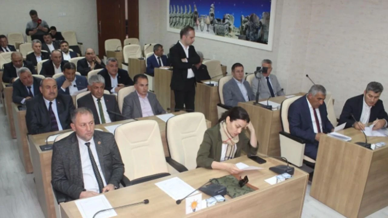 Çorum'da Sokak Hayvanları için 55 dönümlük dev yaşam alanı kuruluyor